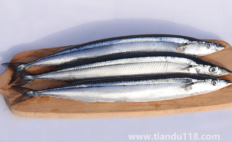 刀魚(yú)是淡水魚(yú)還是海魚(yú)1